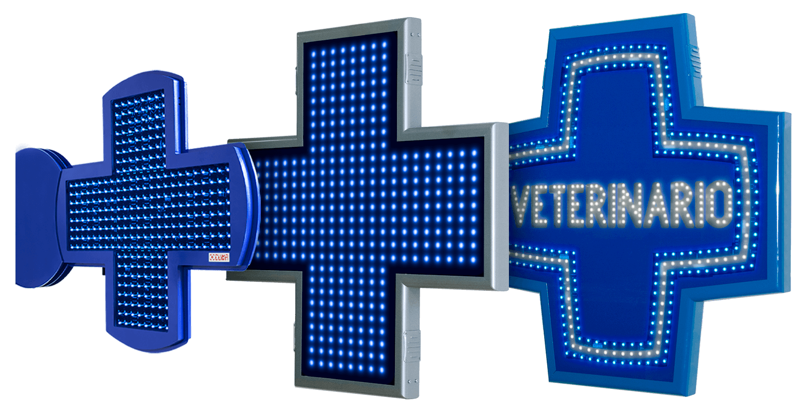 Cruces de Veterinaria 1